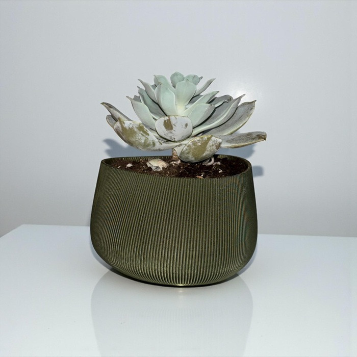 Çizgili Yüzeyli Modern Mini Saksı – 3D Baskı Yeşil Dekoratif Saksı