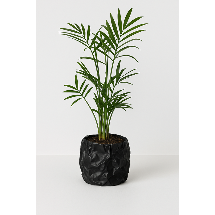 Kırışık Doku Modern Saksı – 3D Baskı Siyah Dekoratif Saksı